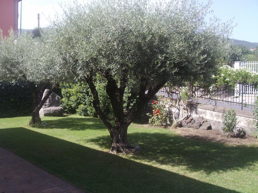 Villa Scatitti House Zafferana Etnea Habitación foto